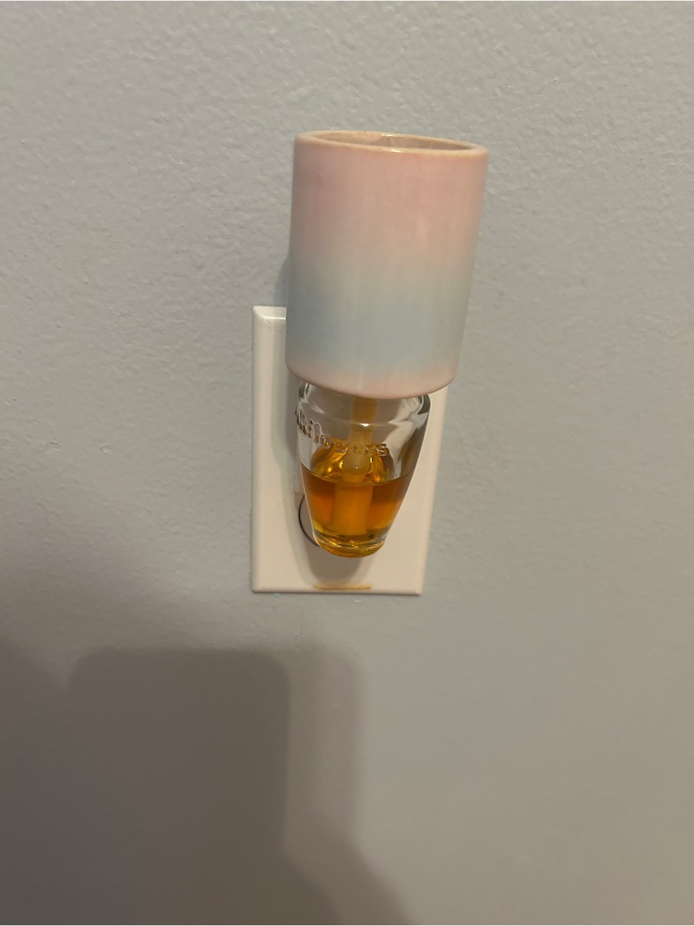 Bath and Body Works wallflower plug